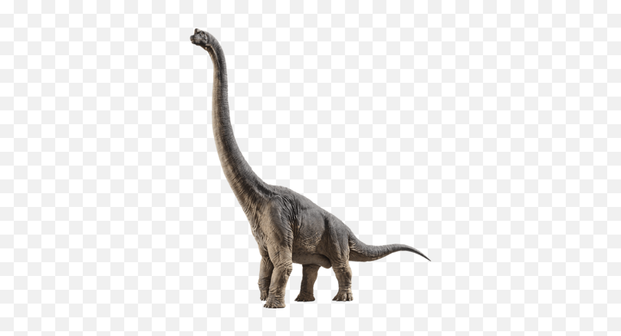 Download Brachiosaurus - Jurassic World Fallen Kingdom Emoji,Stegosaurus Png