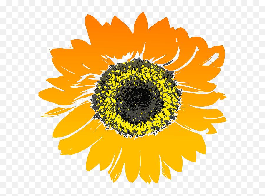 Free Photo Natural Garden Floral Hippie Sunflowers Yellow Emoji,Hippie Flower Clipart