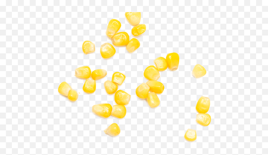 H1 - Corn Kernel Emoji,Corn Png