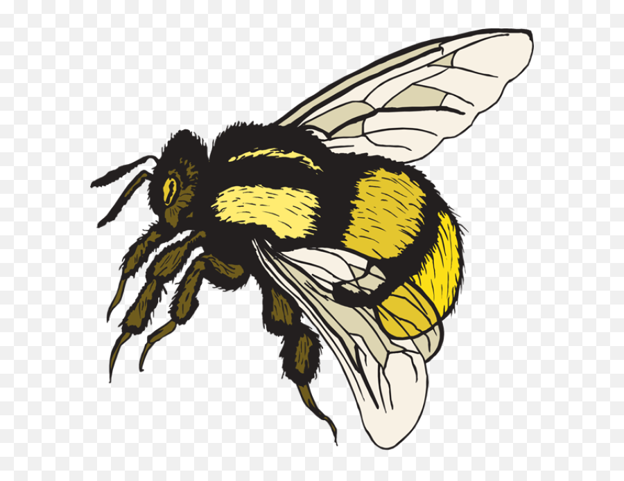 Free Clip Art Bumble Bee - Cute Bumble Bee Art Emoji,Bumblebee Clipart