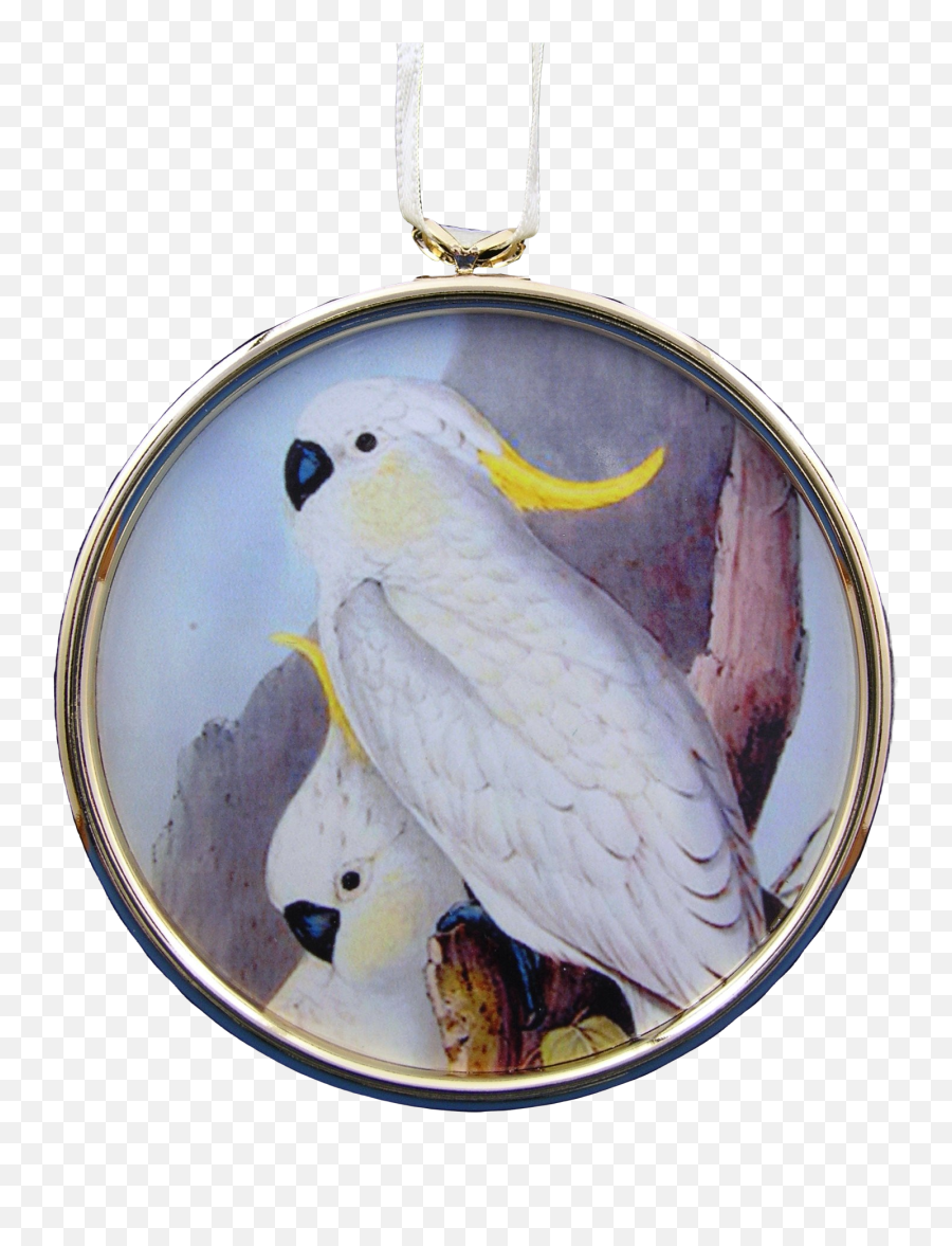 Sulphur Crested Cockatoo Ornament In Gold Frame Emoji,Gold Circle Frame Png