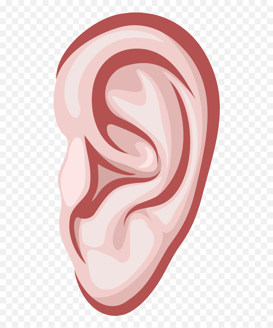 Ear Png Free Download 3 - Ear Png Clipart Emoji,Ear Png