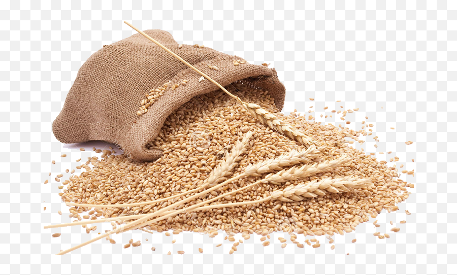 Grain Png Clipart - Whole Wheat Flour Png Emoji,Grain Png