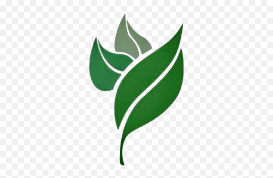 Cropped - Leaf Logo Png Emoji,Leaf Logo
