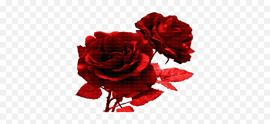 Fle Fleur Rose Rouge Deco Glitter Gif Image Stefstamp - Rose Rouge Gif Emoji,Transparent Glitter Gif
