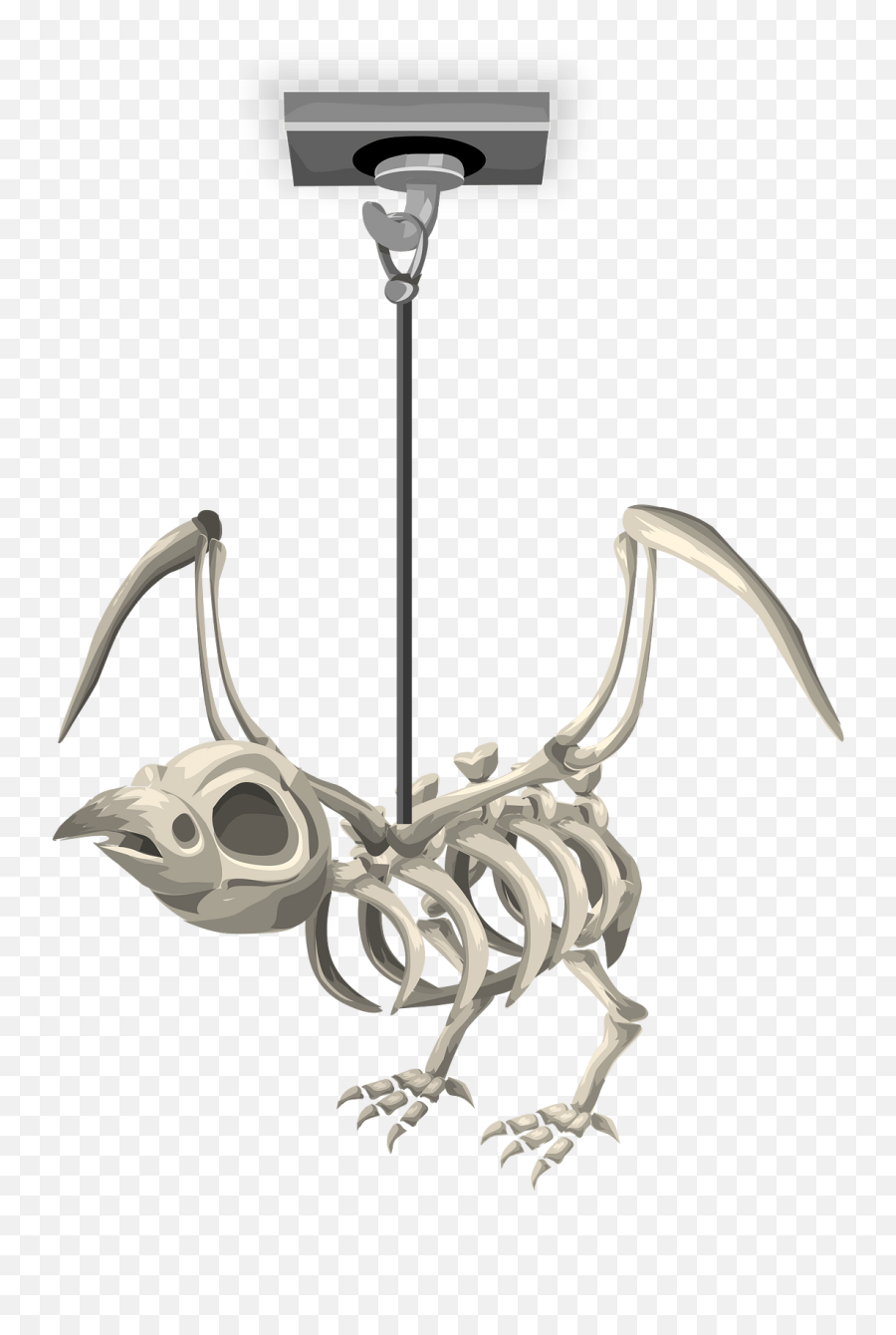 Rook Skeleton Ceiling Decor Clipart Free Download Emoji,Fish Bones Clipart