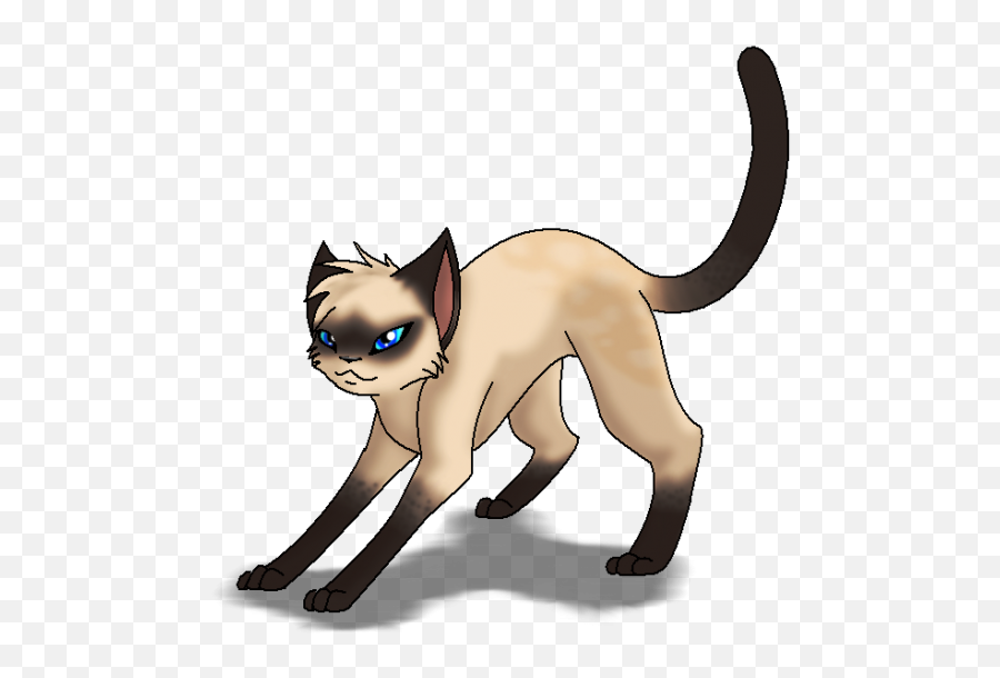 Siamese Cat Png Transparent Hd Photo Png All Emoji,Siamese Cat Clipart