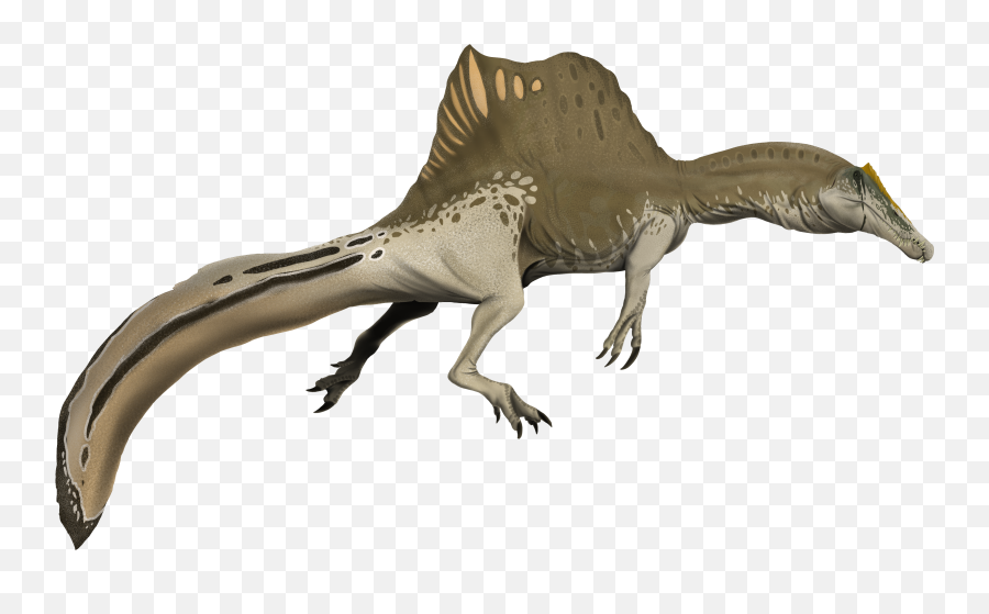 Spinosaurus Aegyptiacus - Did The Spinosaurus Really Look Like Emoji,2020 Png