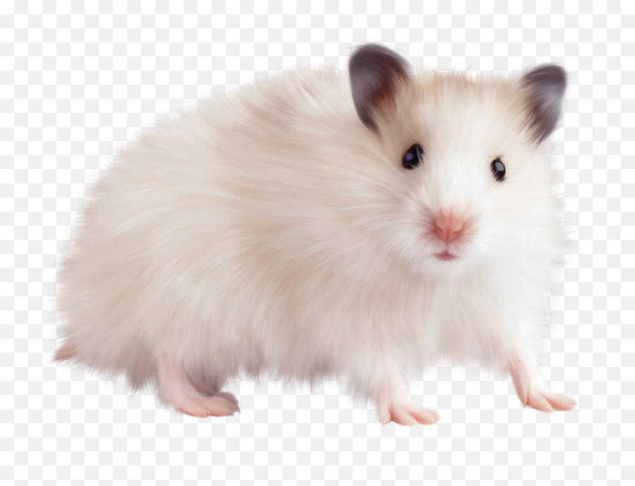Hamster Clipart Transparent Background - Cute Mouse Animal Png Emoji,Hamster Clipart