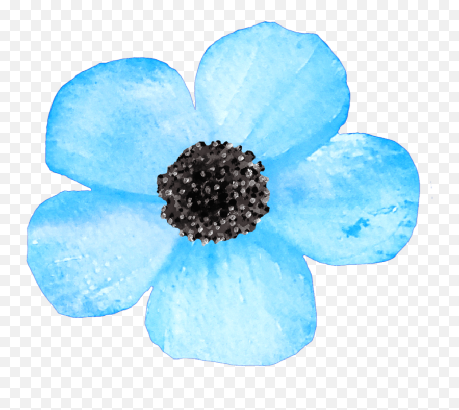 Floral Archives - Page 6 Of 22 Mckinley Design Co Poppy Anemone Emoji,Poppy Flower Clipart