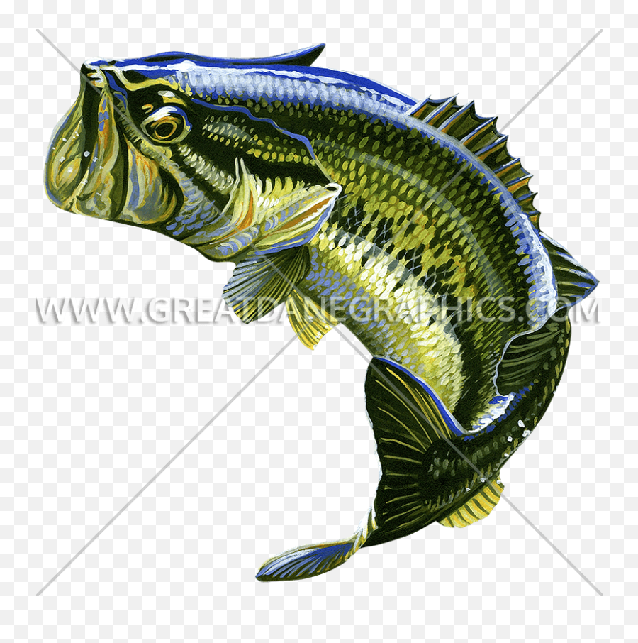 Jumping Largemouth Bass Bass Fish - Jumping Largemouth Bass Bass Fish Emoji,Bass Fish Png