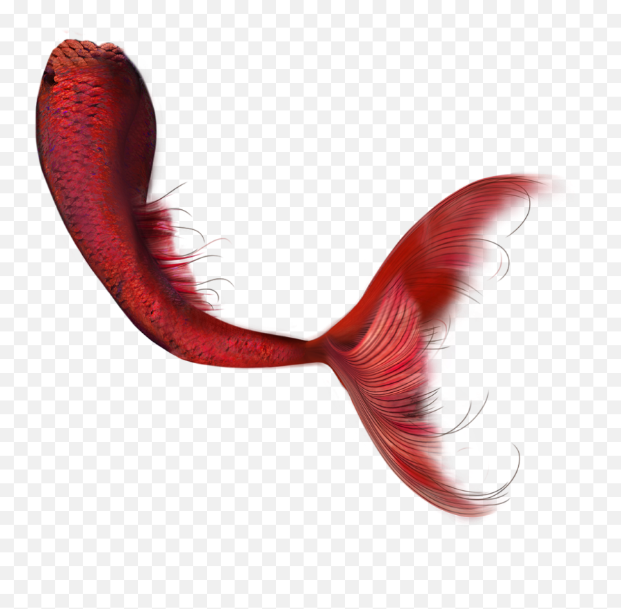 Marmandfish Hd Clip Art - Mermaid 1080x1080 Png Clipart Emoji,Mermaid Clipart Png