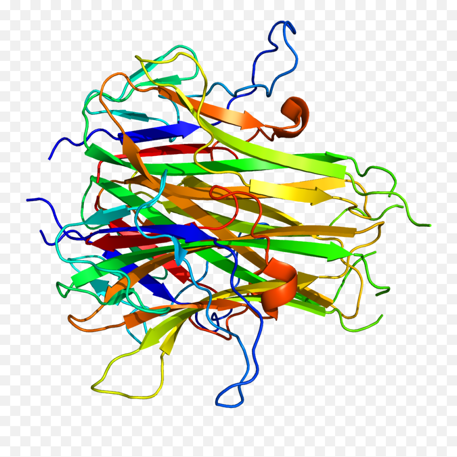 Fileprotein Tnfsf15 Pdb 2o0opng - Wikipedia Dot Emoji,Sprinkles Png