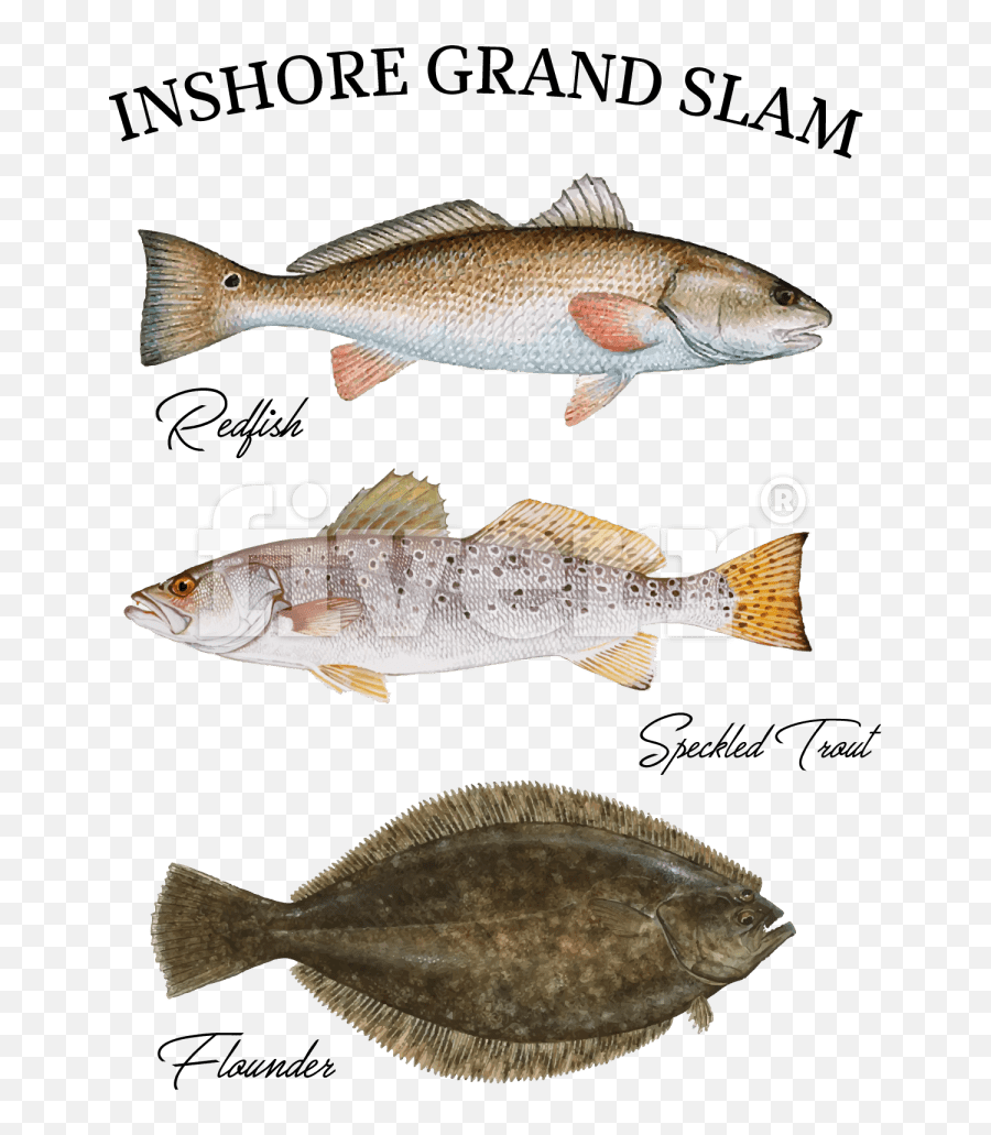 Speckled Trout Pillow Case Png Download - Drum Fish In Redfish Size Limit Florida Emoji,Trout Clipart