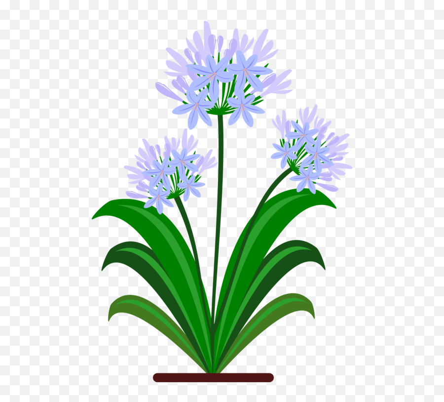 Plantfloraflowerpot Png Clipart - Royalty Free Svg Png Flower Blue Pdf Emoji,Violet Clipart