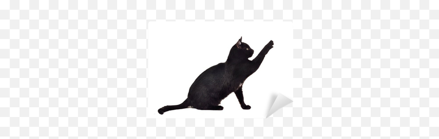 Black Cat Reaching Up For Toy And Showing Its Claws Emoji,Cat Outline Png