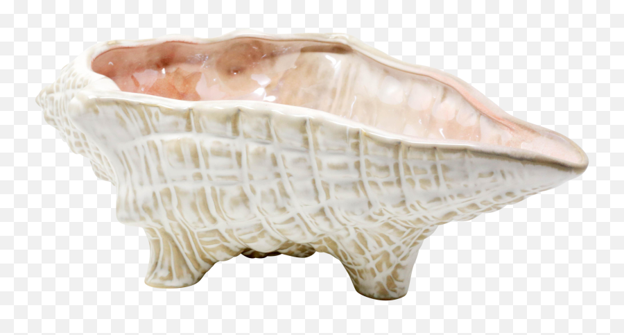 Large 15 Conch Shell Bowl By Pottery Barn On Chairishcom Emoji,Conch Shell Png