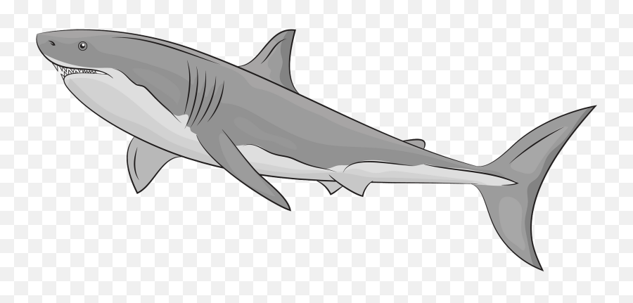 Great White Shark Clipart - Great White Shark Foto Download Emoji,Shark Clipart