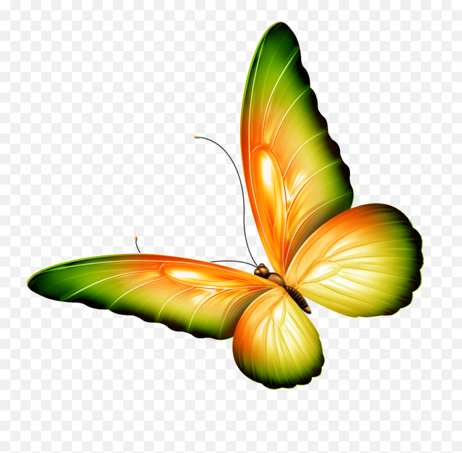 Butterfly Png Hd Photo - Transparent Butterfly Clip Art Emoji,Butterfly Png