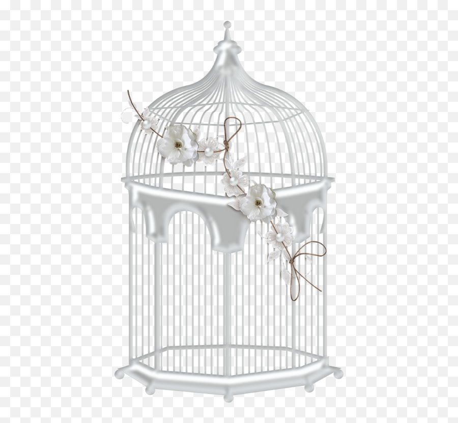 Transparent Background Bird Cage Png - Transparent Background Bird Cage Png Emoji,Cage Png