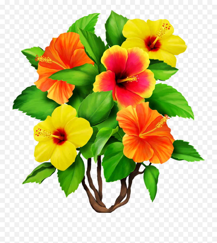 Download Hawaiian Aloha Tropical - Clipart Bouquet Hibiscus Emoji,Tropical Clipart