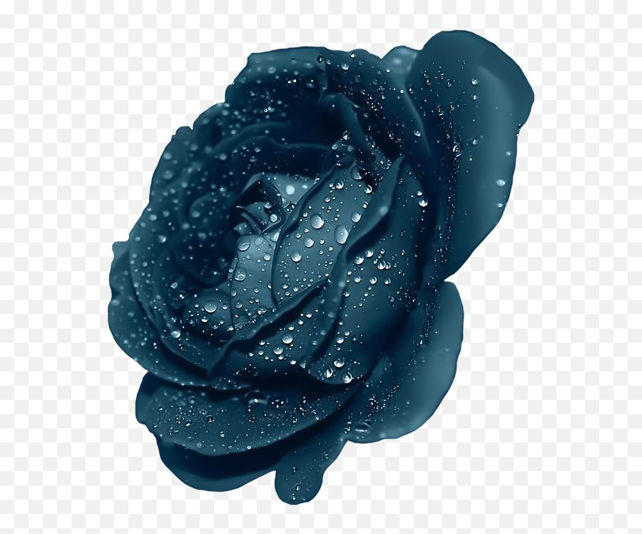 Blue Flower Png - Blue Flower Clipart Blue Rose Free Dark Blue Png Flowers Emoji,Blue Flower Clipart
