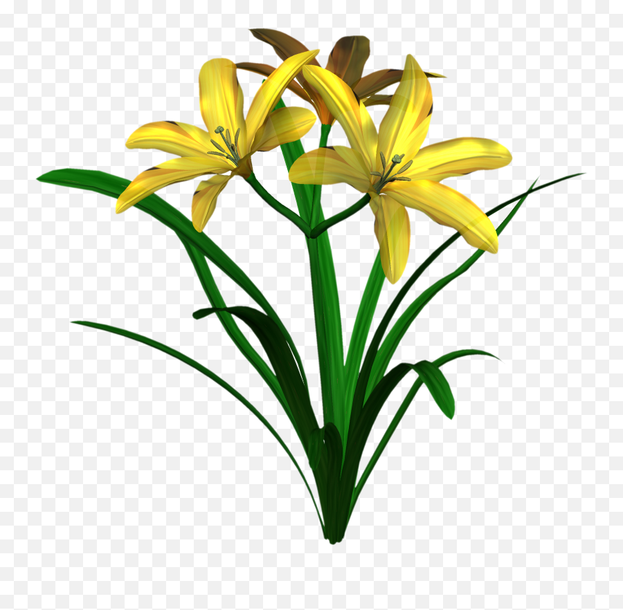 Free High Resolution Graphics And Clip Art - Dwarf Day Lily Emoji,Lilies Clipart