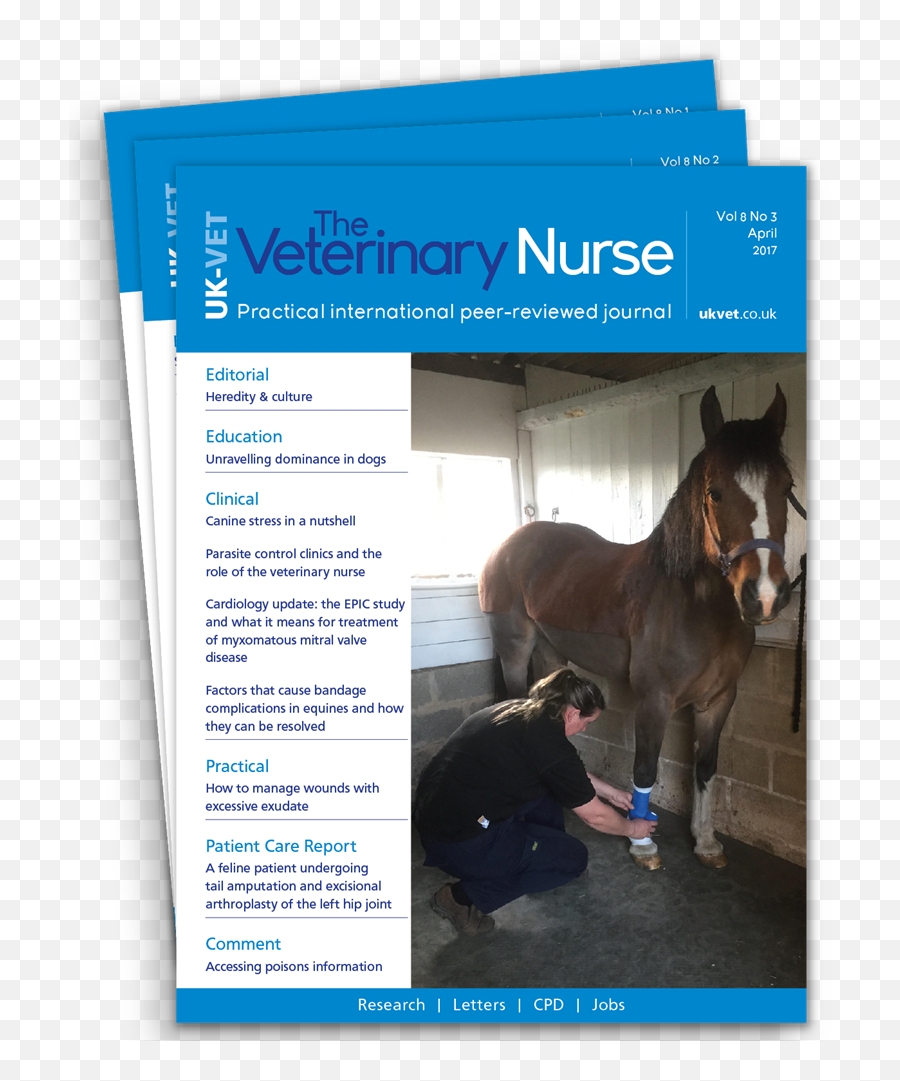 Why Subscribe - Paraveterinary Worker Full Size Png Emoji,Like Comment Subscribe Png