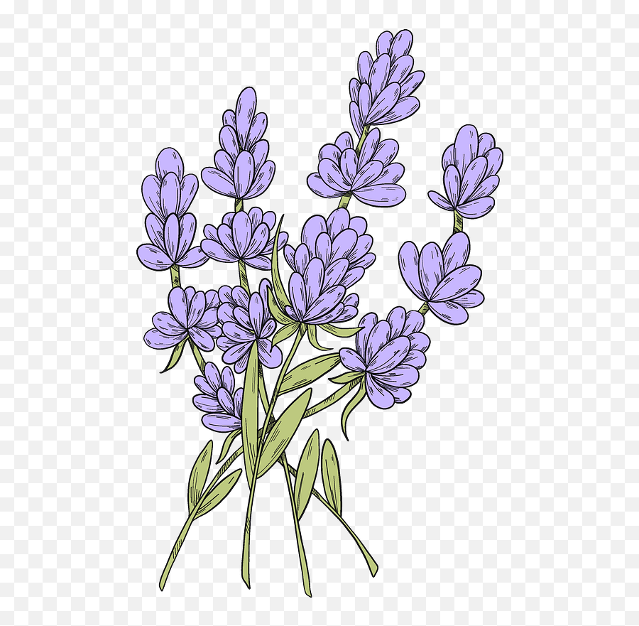 Lavender Clipart - Floral Emoji,Lavender Clipart