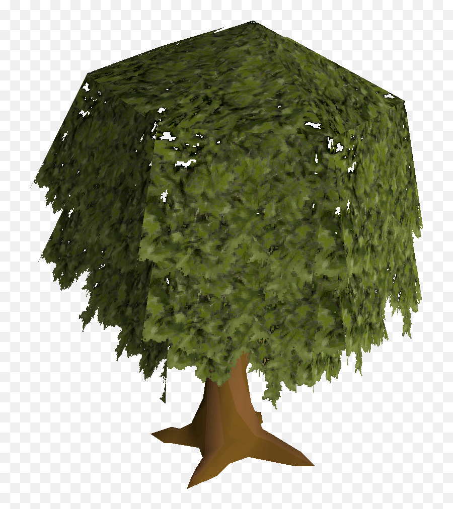 Oak Tree - Box Emoji,Oak Tree Png