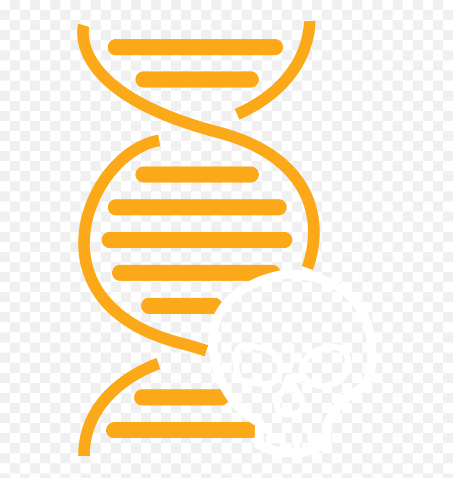 Dna - Withskullicon Anthropology And Geography Colorado Emoji,Skull Icon Png