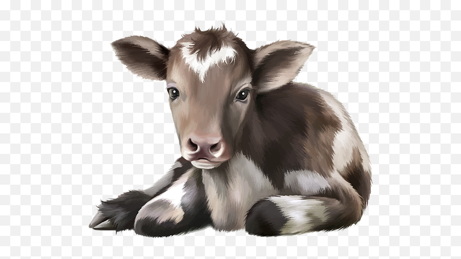 Blog De Lu0027ile De Kahlan Cute Cows Cow Art Cow Pictures - Calf Drawing Emoji,Cow Clipart