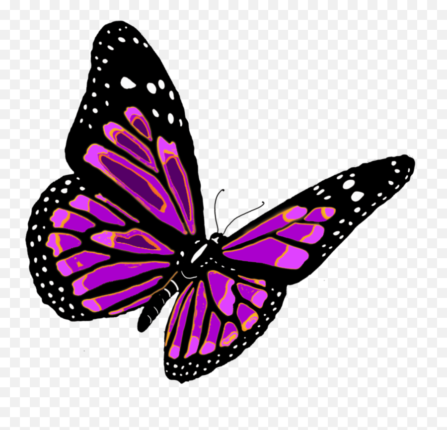 Butterfly Png Images Transparent Images - Transparent Background Butterfly Clipart Emoji,Butterfly Png