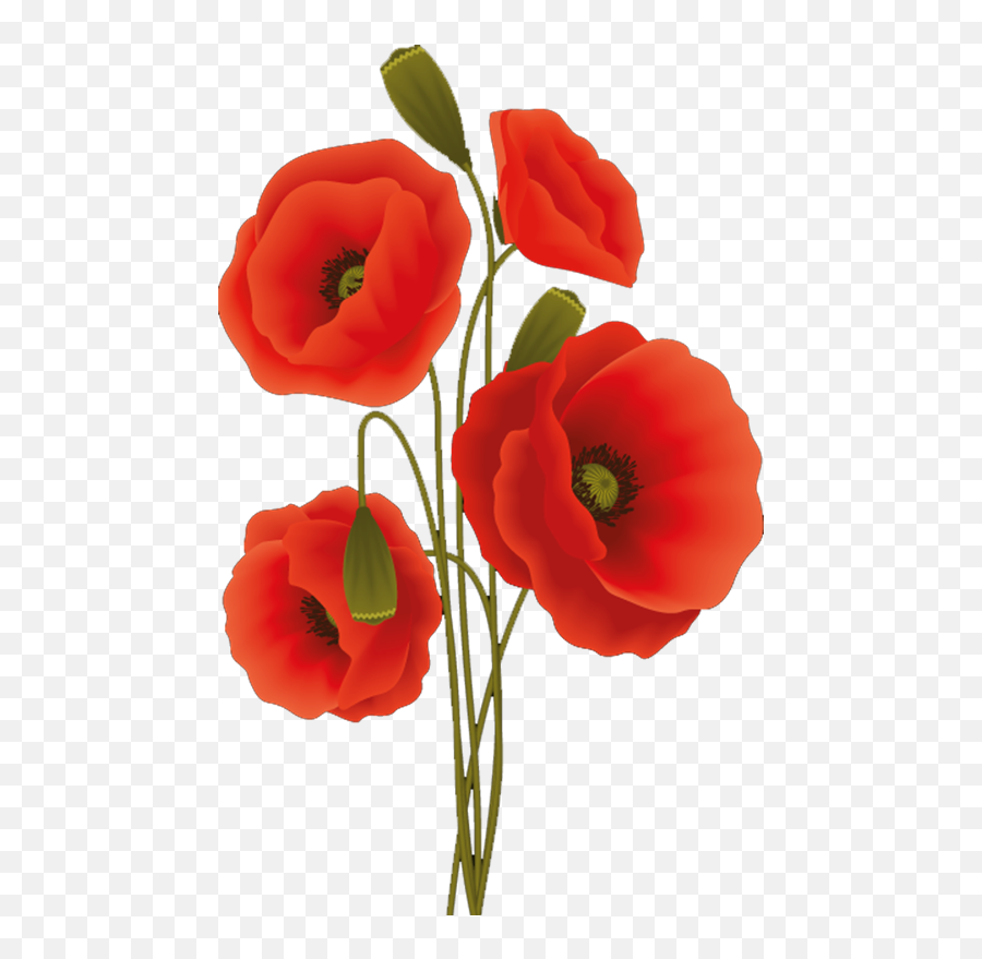 12 Best Printable Poppy Flower Stencil Patterns - Printableecom Poppy Flower Design Emoji,Poppy Flower Clipart