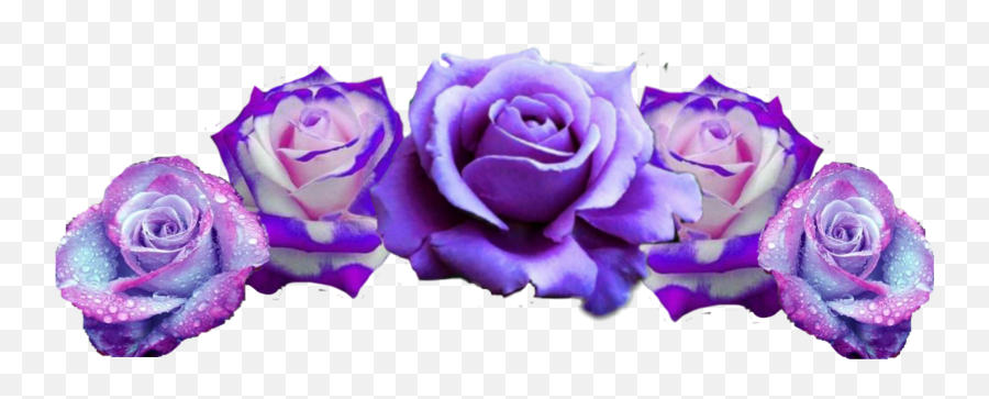 Flowercrown Flower Crown Sticker By Precious Emoji,Transparent Purple Flower Crown