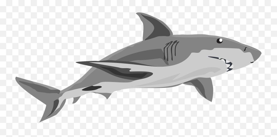 Gray Shark Clipart - Gray Shark Emoji,Shark Clipart
