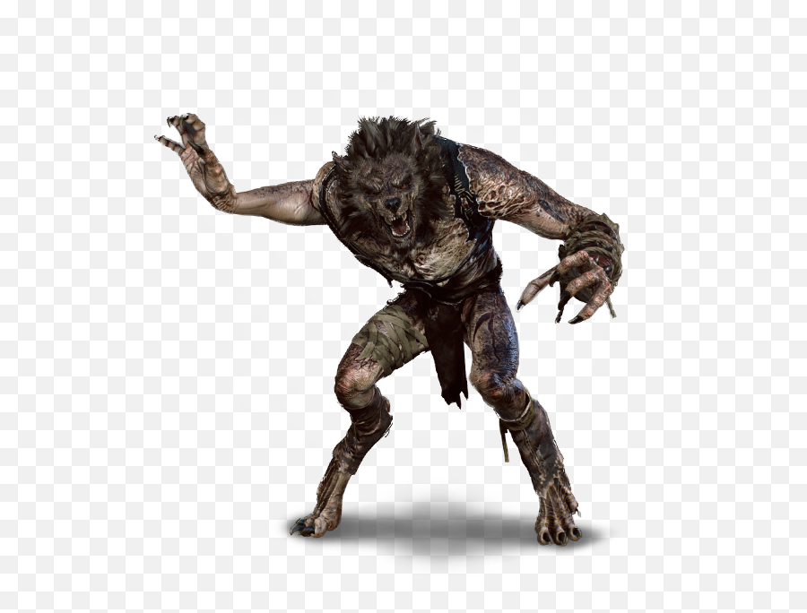 Werewolf Witcher Wiki Fandom - Licantropi Png Emoji,Werewolf Png