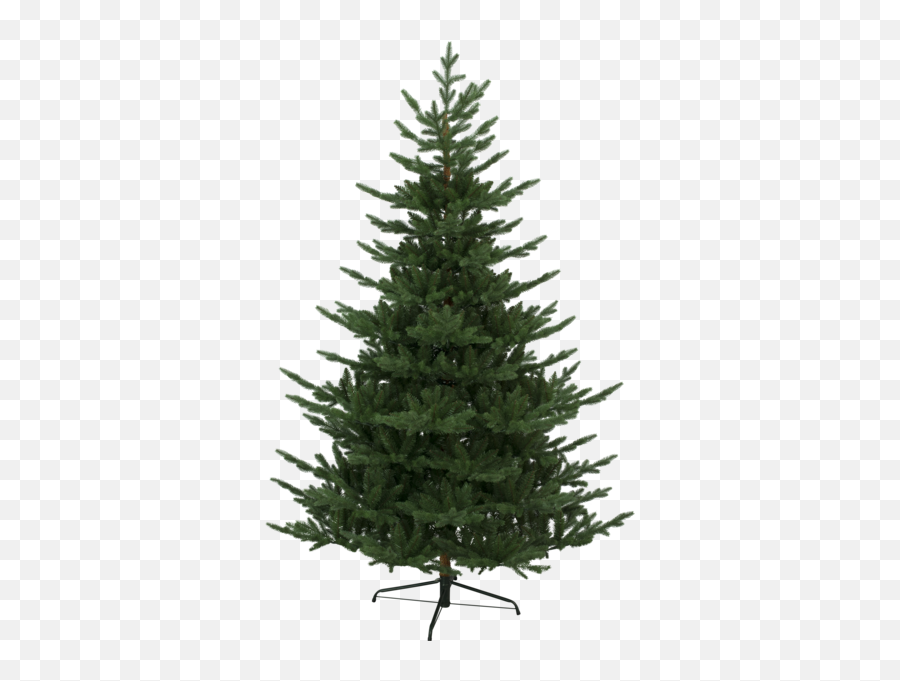 Christmas Tree Branch Emoji,Pine Tree Transparent
