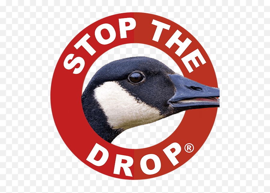 Geese Repellent - Stop The Drop Goose Emoji,Canada Goose Logo