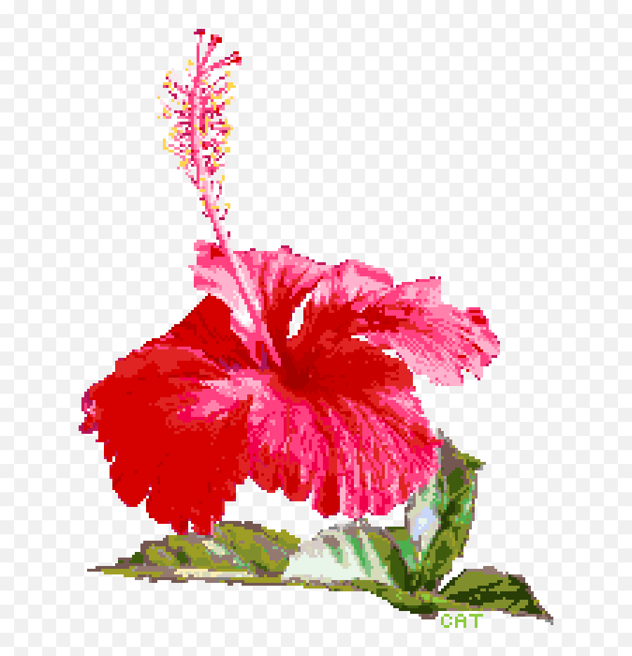 Transparent Hibiscus Transparent Png - Hawaiian Hibiscus Emoji,Hibiscus Clipart