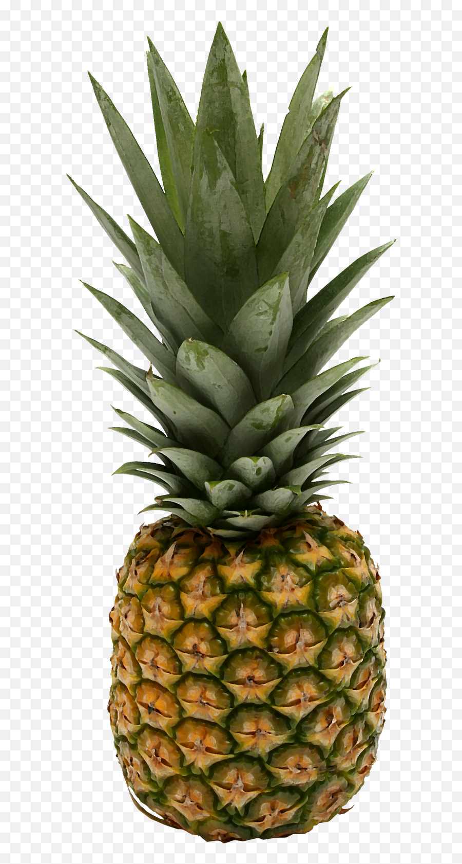 Pineapple Fruit Transparent Png Images Free Download - Free Emoji,Did You Know Clipart
