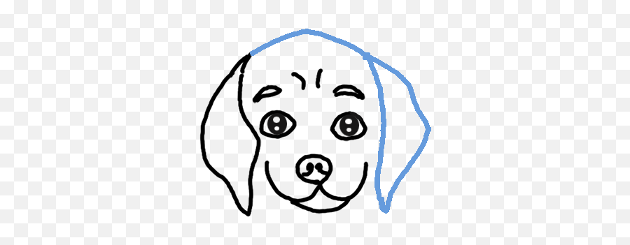 How To Draw A Dog Face - Step By Step Easy Drawing Guides Emoji,Doge Face Png