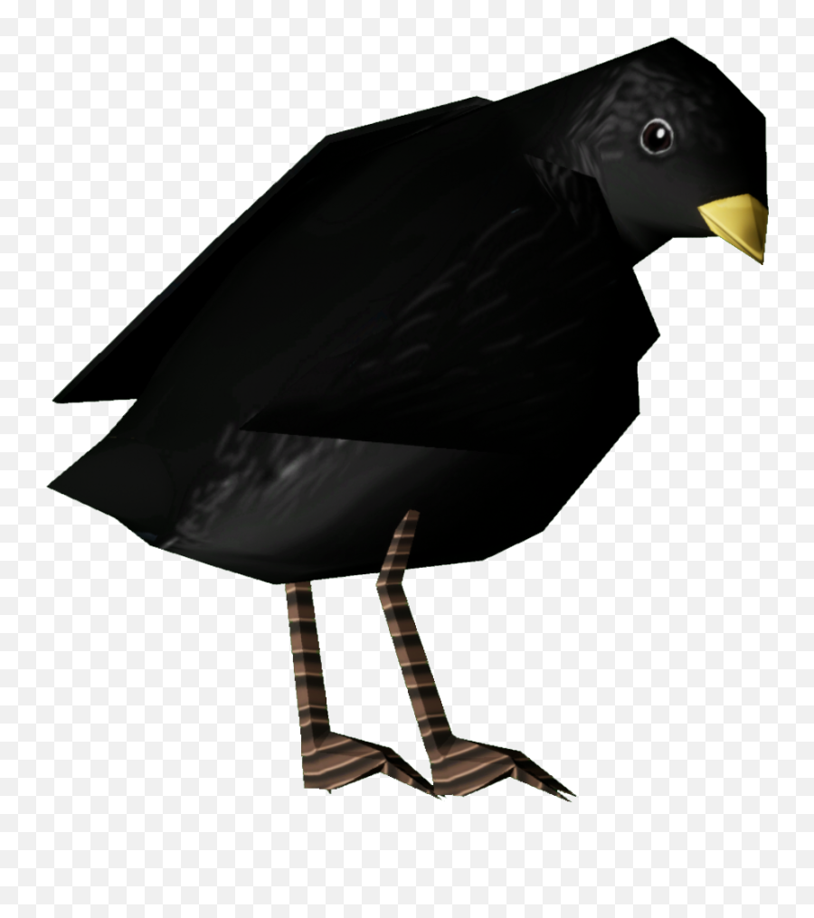 Songbird Common Blackbird Png Hd Image Png All Emoji,Black Bird Clipart