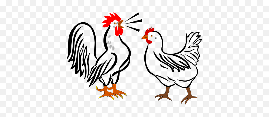 Over 300 Free Chicken Vectors - Hen Rooster Clipart Emoji,Chicken Clipart Black And White