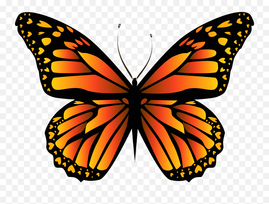 Download Hd Orange Butterfly Png Clipar - Drawing Monarch Butterfly Emoji,Butterfly Png