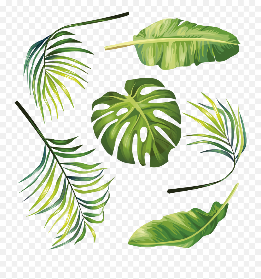 Palm Leaves Clip Art Full Size Png Download Seekpng Emoji,Tropical Leaves Clipart