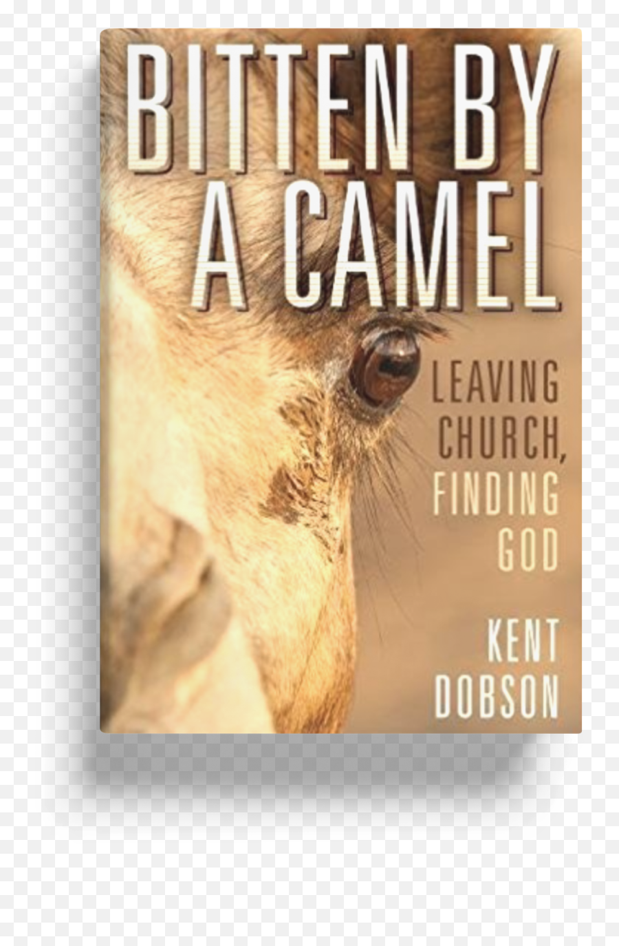 Books U2014 Kent Dobson Emoji,Camel Transparent Background