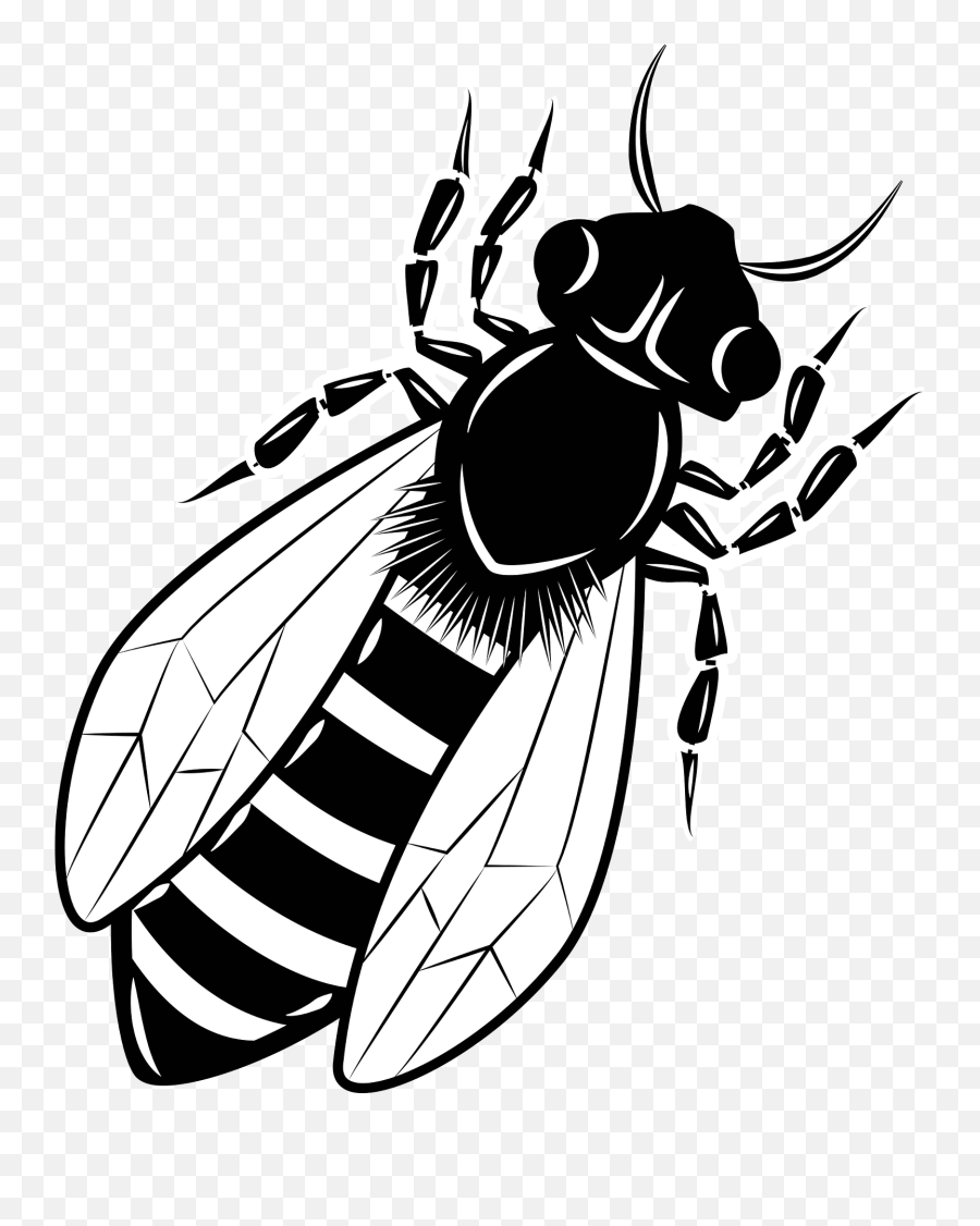 Bee Clipart - Parasitism Emoji,Bee Clipart Black And White