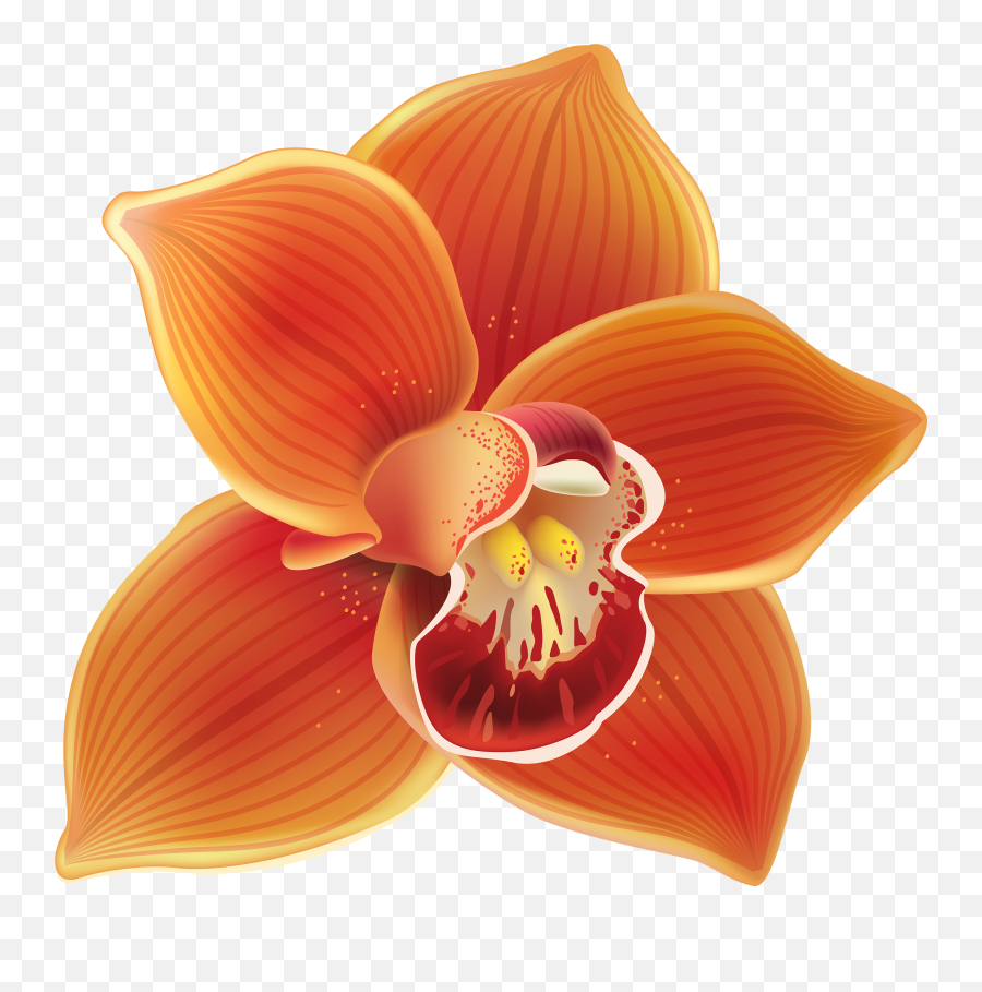Orange Orchid Png Clipart - Orange Orchid Png Emoji,Orchid Clipart