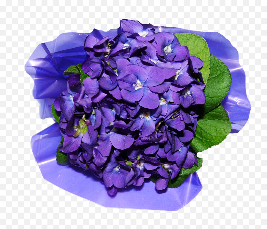 Download Flower Petals Png Image For Free Emoji,Petals Png